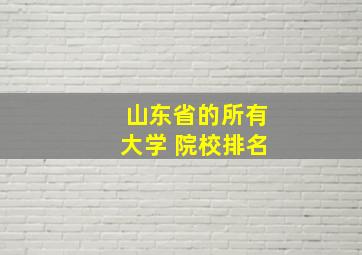 山东省的所有大学 院校排名